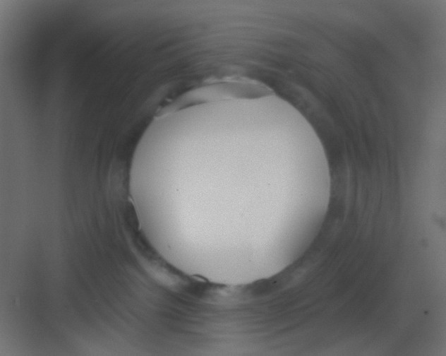 X0000081320092200702082147