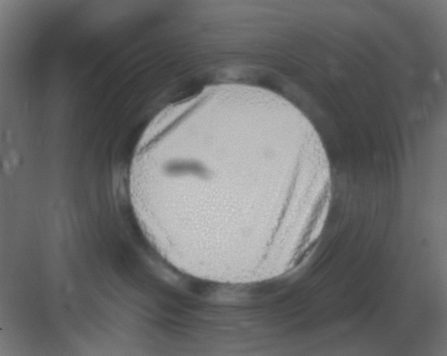 X0000081320094200702082147