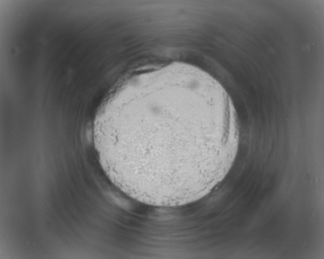 X0000081320095200702082147