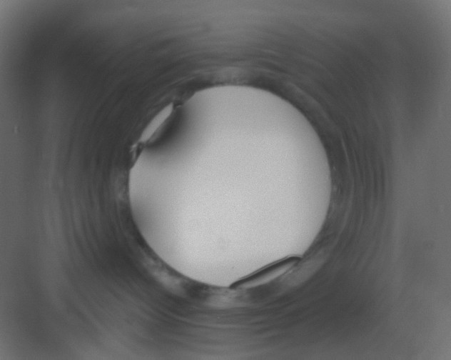 X0000081320096200702082147