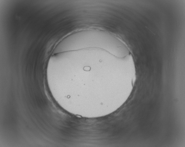 X0000081320097200702082146