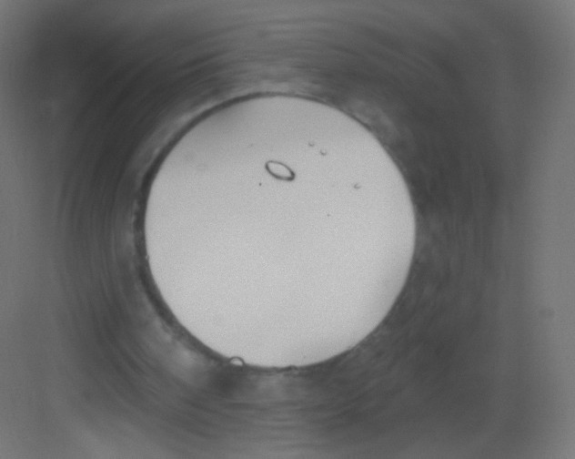 X0000081320098200702082146