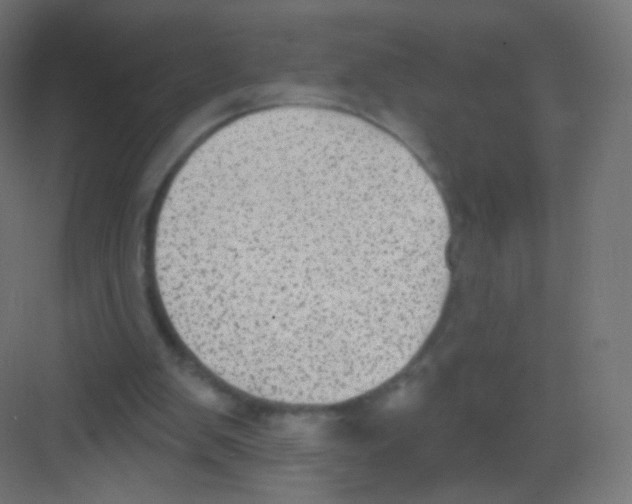 X0000081320103200702082146