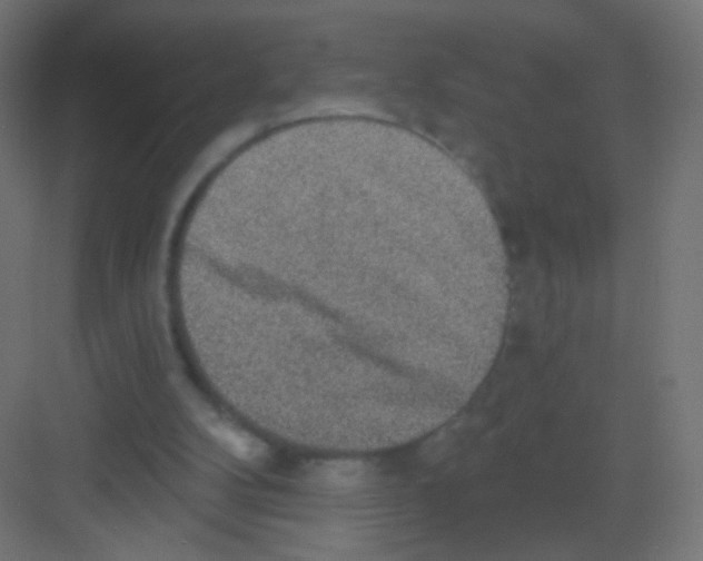 X0000081320104200702082146