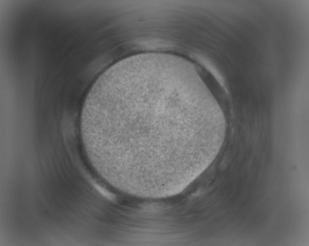 X0000081320105200702082146