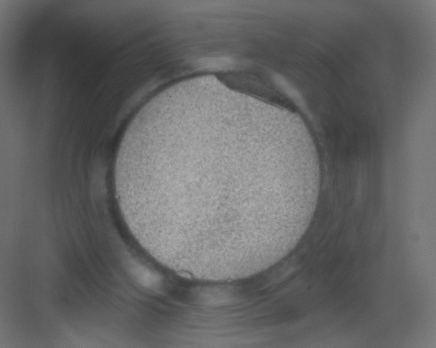 X0000081320106200702082146