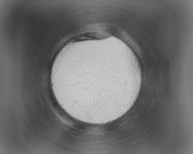 X0000081320107200702082146