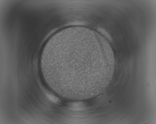 X0000081320108200702082146