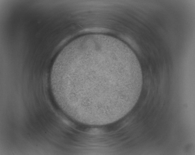 X0000081320111200702082146