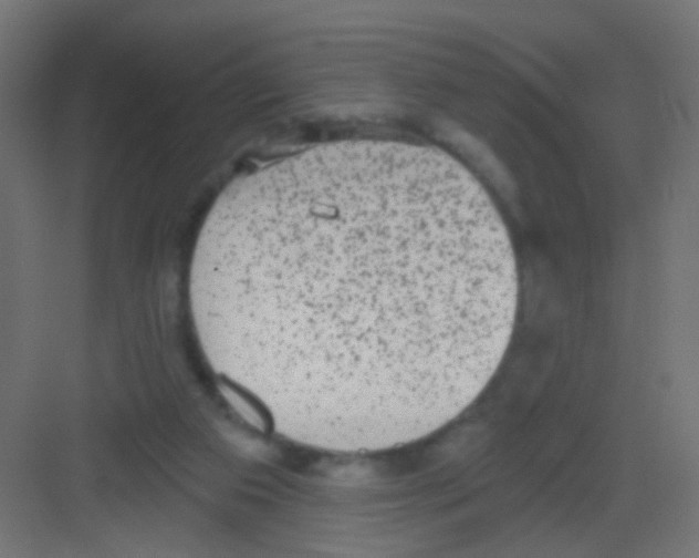 X0000081320113200702082146