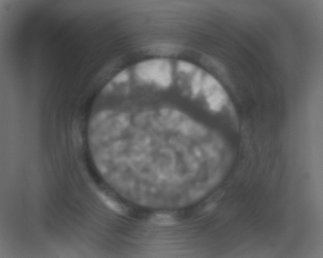 X0000081320114200702082146