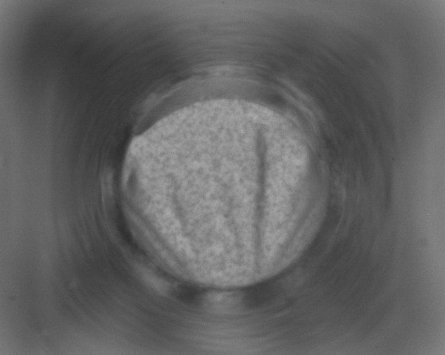 X0000081320117200702082146