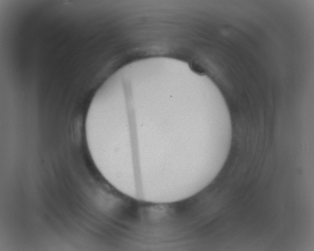 X0000081320118200702082146