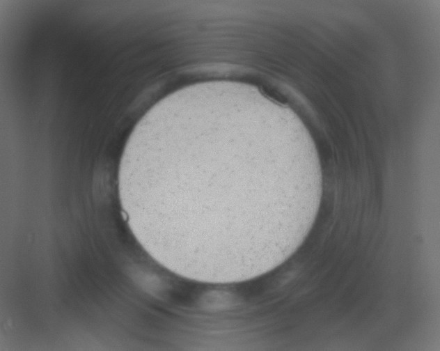 X0000081320119200702082146