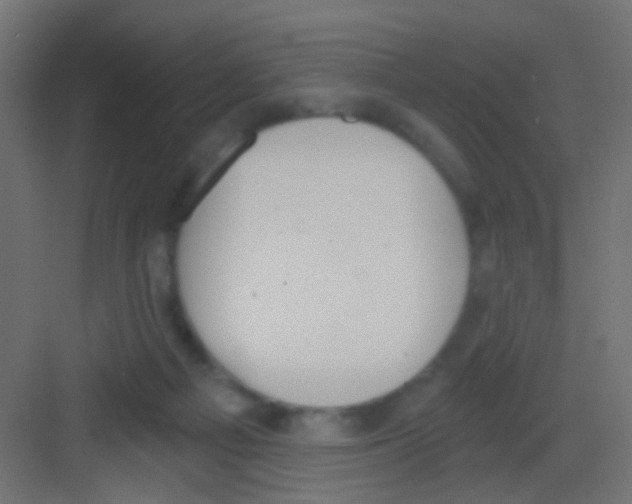 X0000081320121200702082146