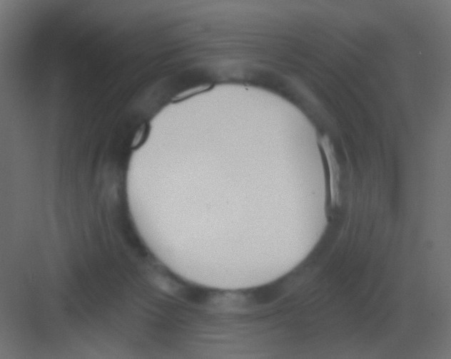 X0000081320125200702082146