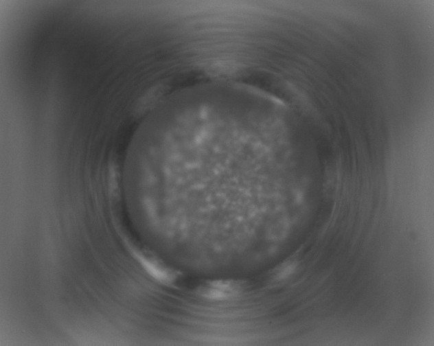 X0000081320130200702082146