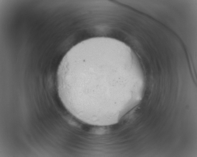 X0000081320131200702082146