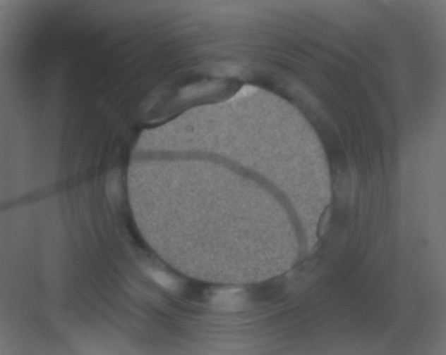 X0000081320132200702082146