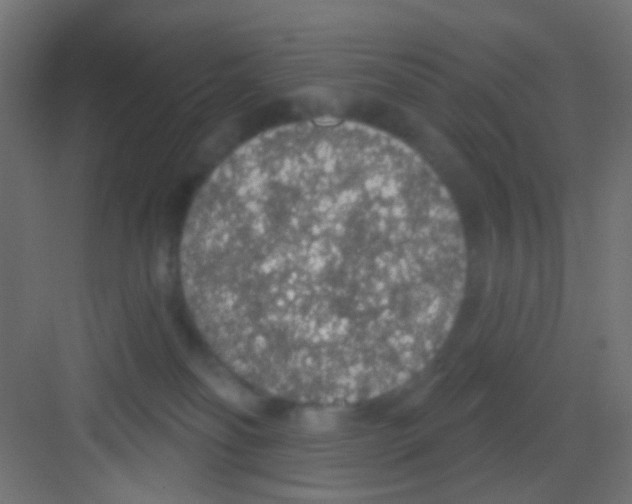 X0000081320134200702082146