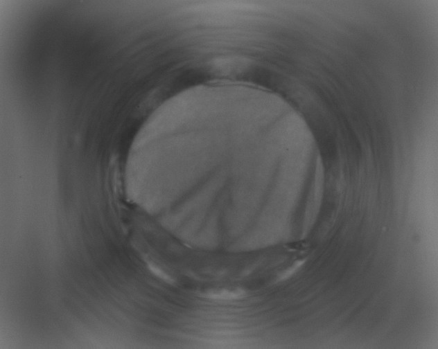 X0000081320137200702082146