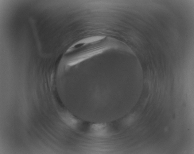 X0000081320139200702082146