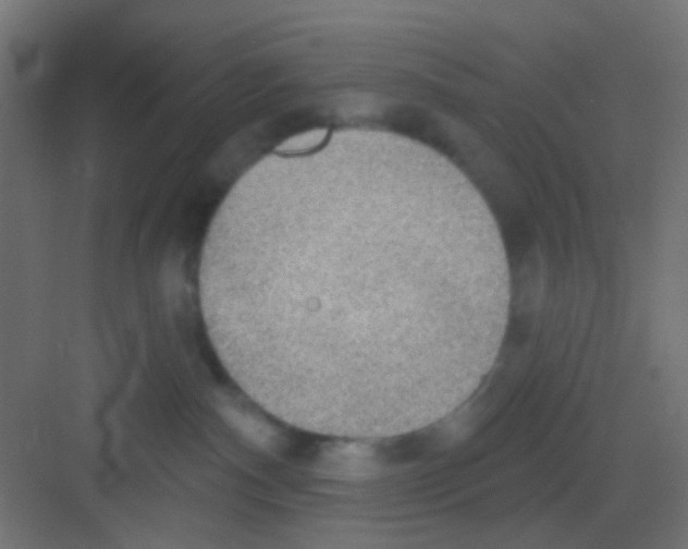 X0000081320140200702082146