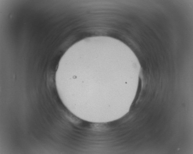 X0000081320141200702082146