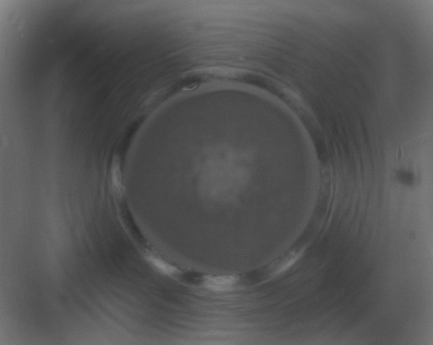 X0000081320143200702082146