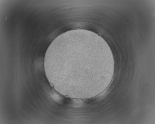 X0000081320144200702082146