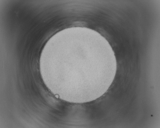 X0000081320146200702082145