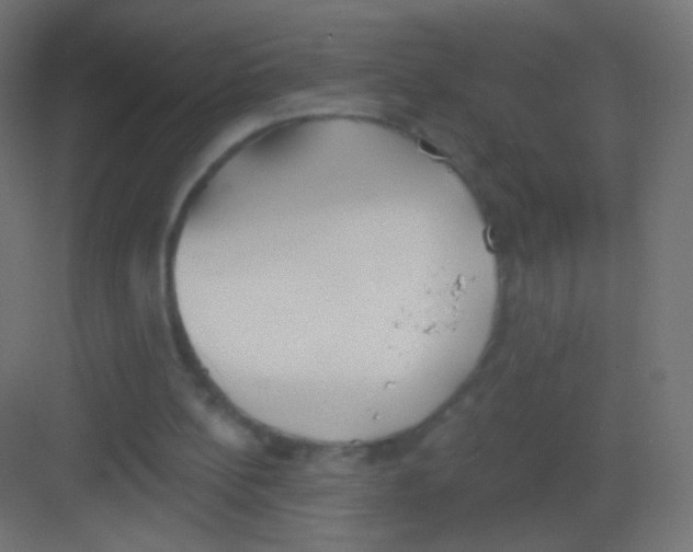 X0000081320148200702082145