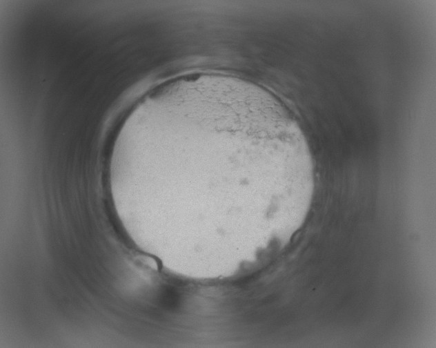 X0000081320149200702082145