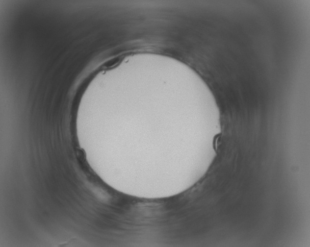 X0000081320150200702082145