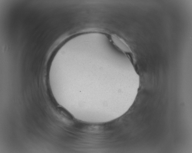 X0000081320152200702082145