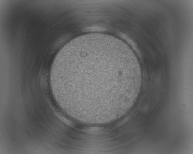 X0000081320153200702082145