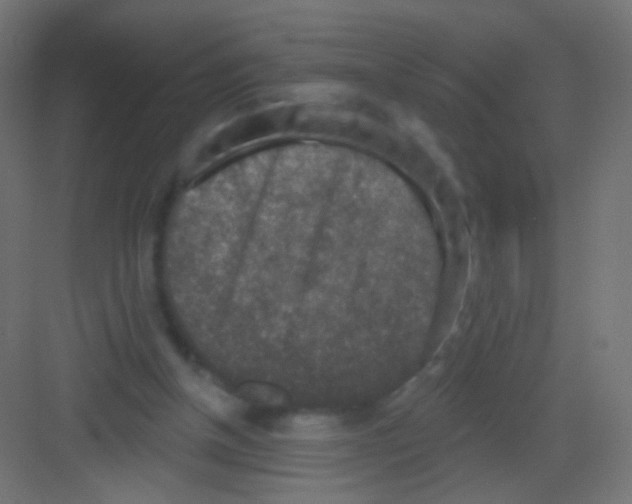 X0000081320154200702082145