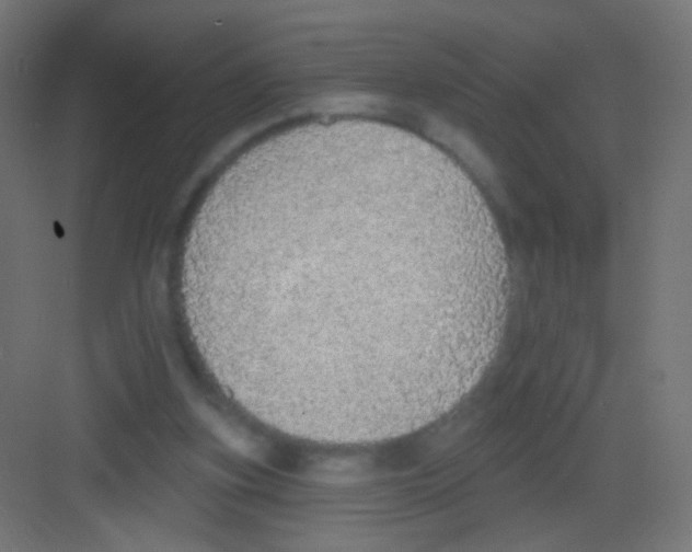 X0000081320155200702082145