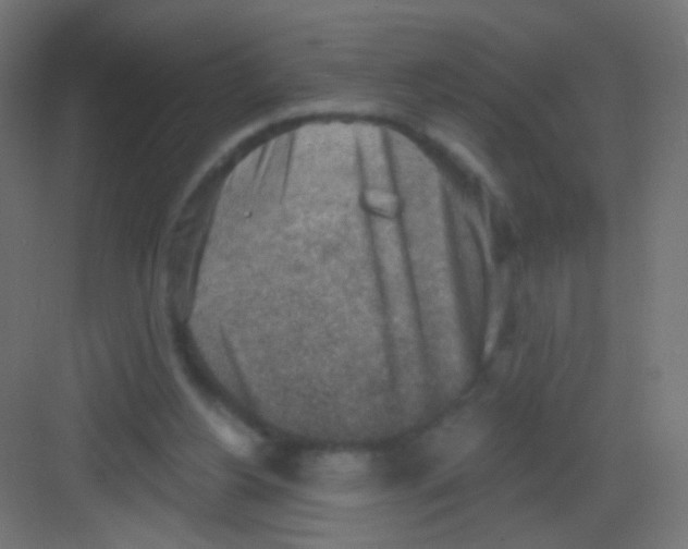 X0000081320156200702082145