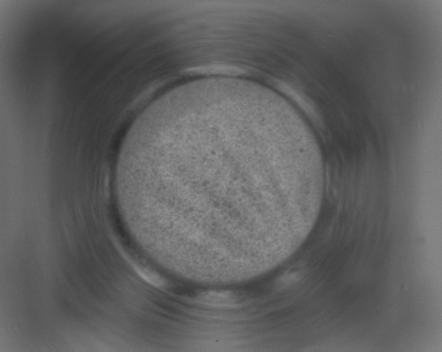 X0000081320157200702082145