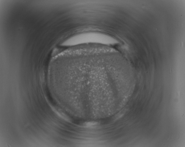 X0000081320158200702082145