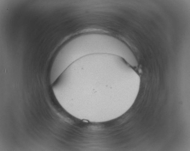 X0000081320160200702082145