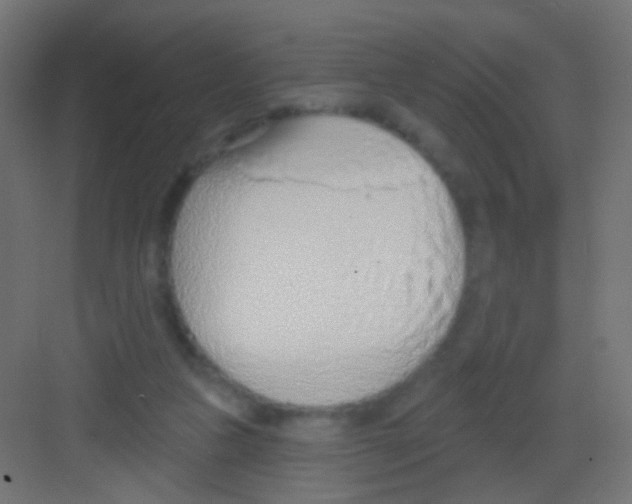 X0000081320161200702082145