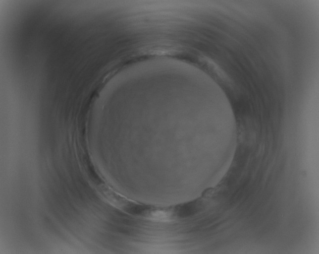 X0000081320163200702082145