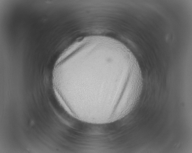 X0000081320166200702082145