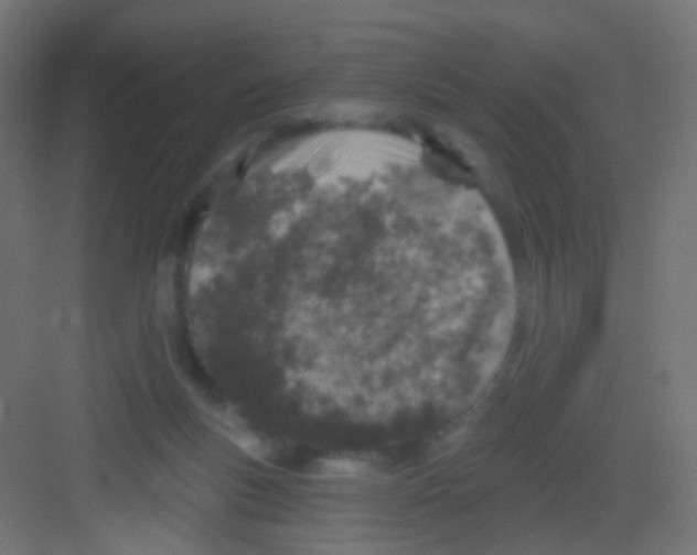 X0000081320167200702082145