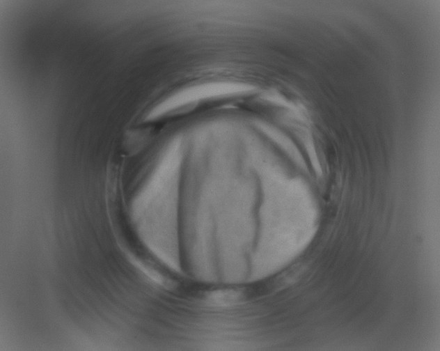 X0000081320168200702082145