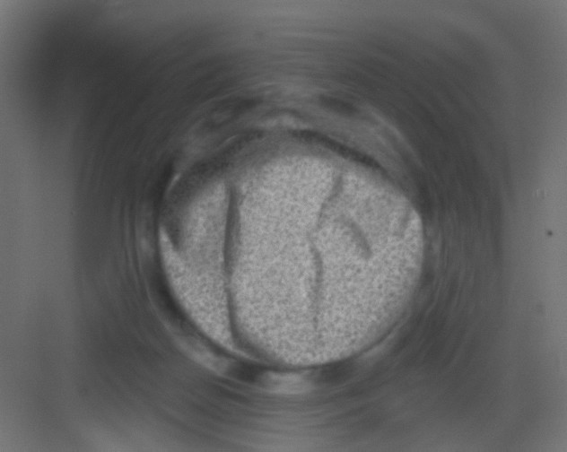 X0000081320170200702082145