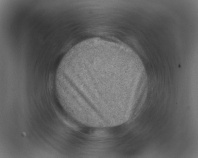 X0000081320171200702082145