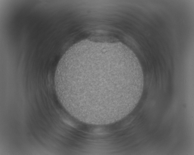 X0000081320173200702082145